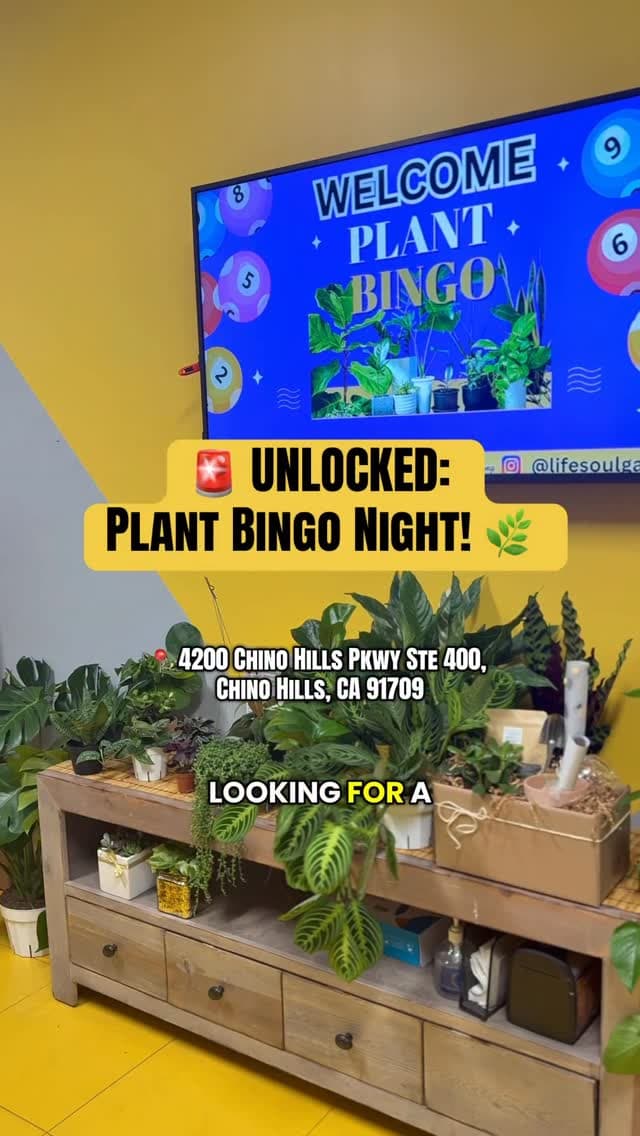 Plant Bingo night: shelves of houseplant prizes under the welcome screen