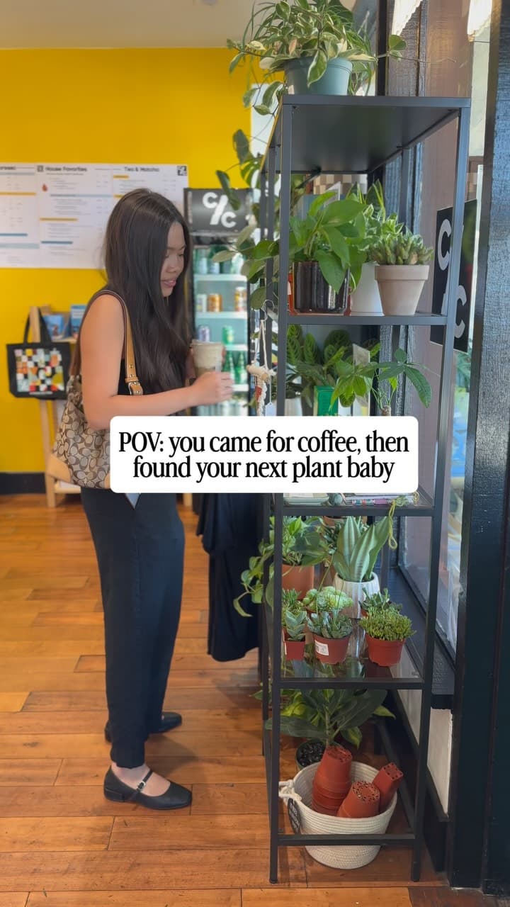 A visitor browsing the plant shelf inside a coffee shop